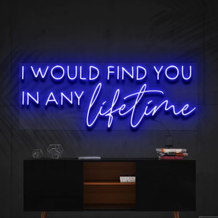 I Would Find You in Any Lifetime