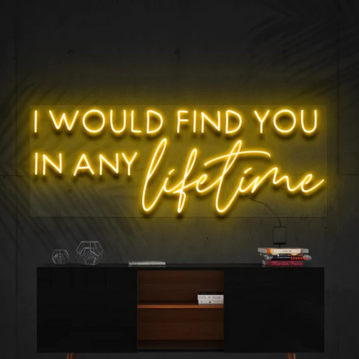 I Would Find You in Any Lifetime