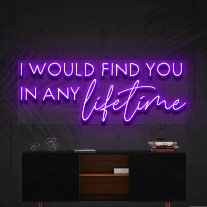 I Would Find You in Any Lifetime